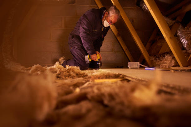 Best Eco-Friendly Insulation in Lmer Heights, PA